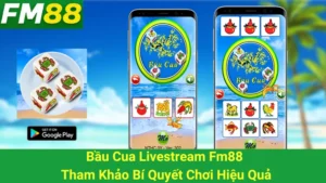 Bầu Cua Livestream Fm88 - Tham Khảo Bí Quyết Chơi Hiệu Quả